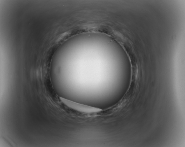 X0000083981157200703091818