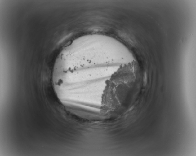 X0000083981158200703091818