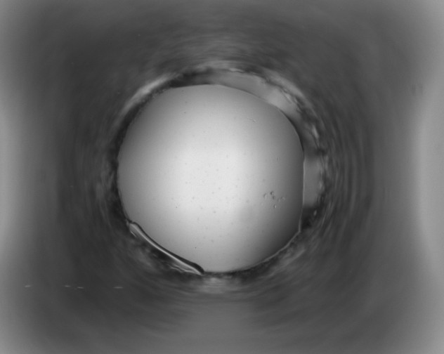 X0000083981160200703091818