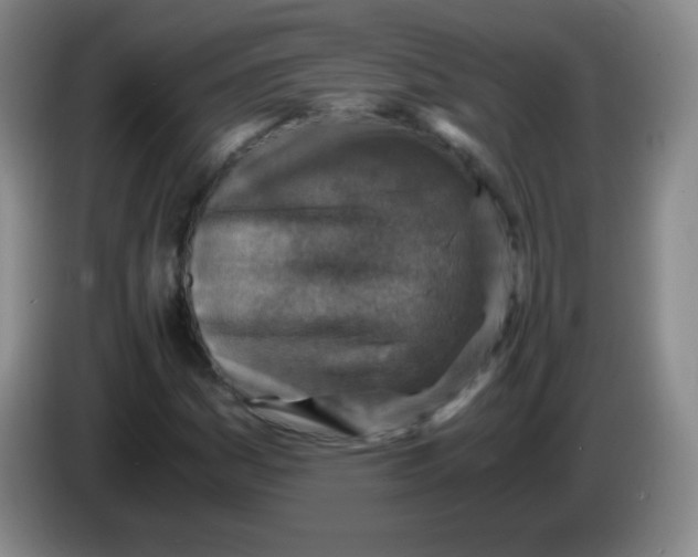 X0000083981161200703091818