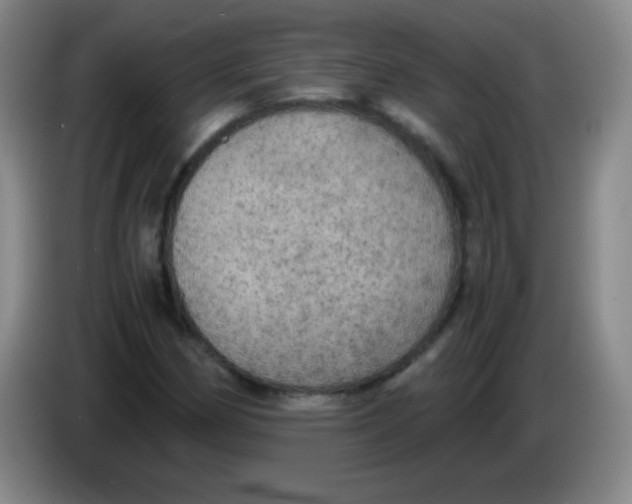 X0000083981162200703091818