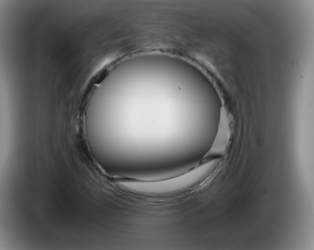 X0000083981165200703091817