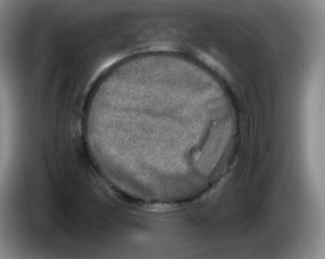 X0000083981166200703091817