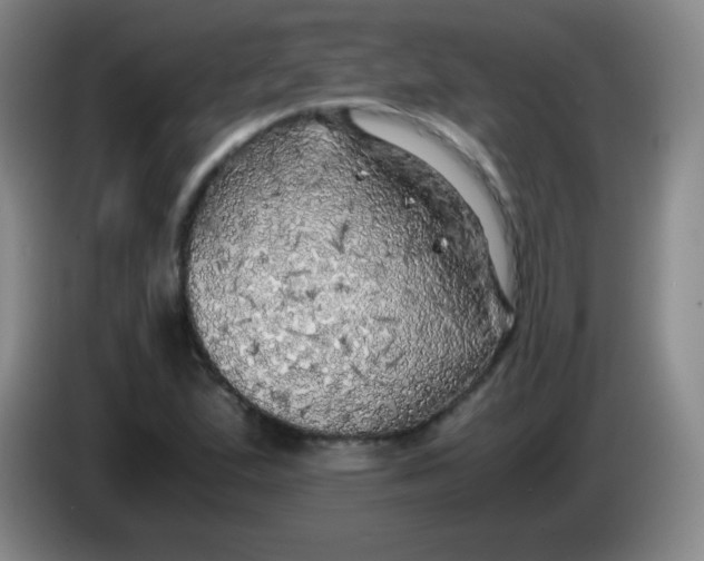 X0000083981167200703091817