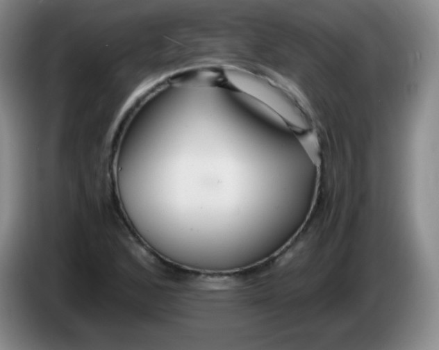 X0000083981168200703091817