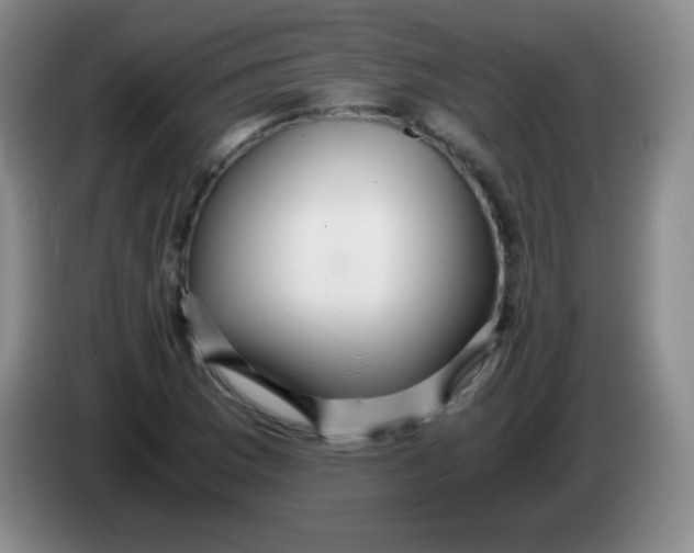 X0000083981169200703091817