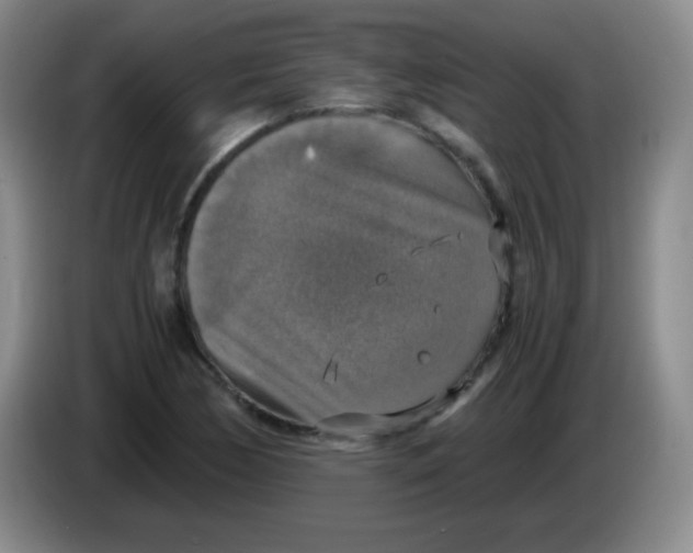 X0000083981170200703091817