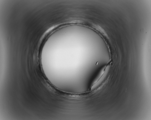 X0000083981172200703091817