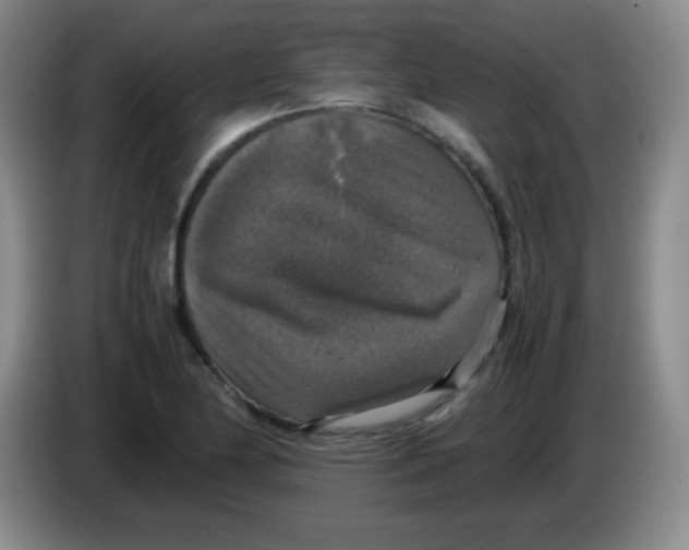 X0000083981174200703091817