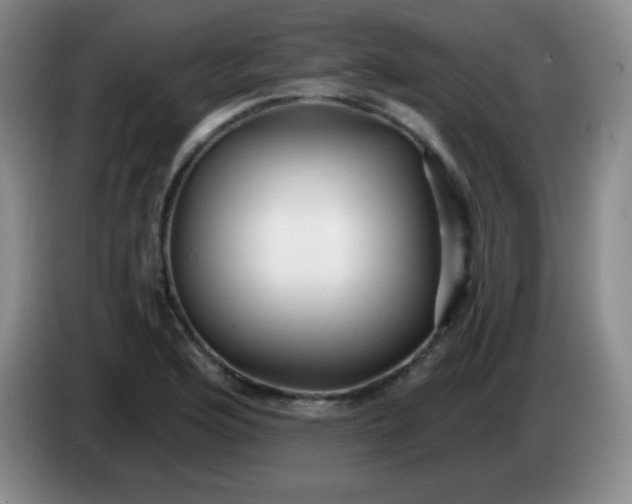 X0000083981176200703091817