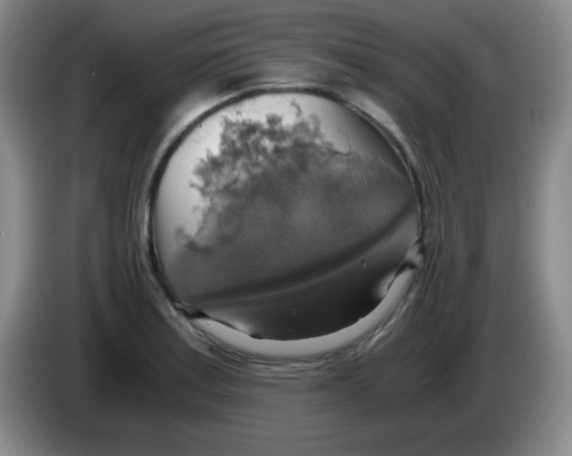 X0000083981179200703091817