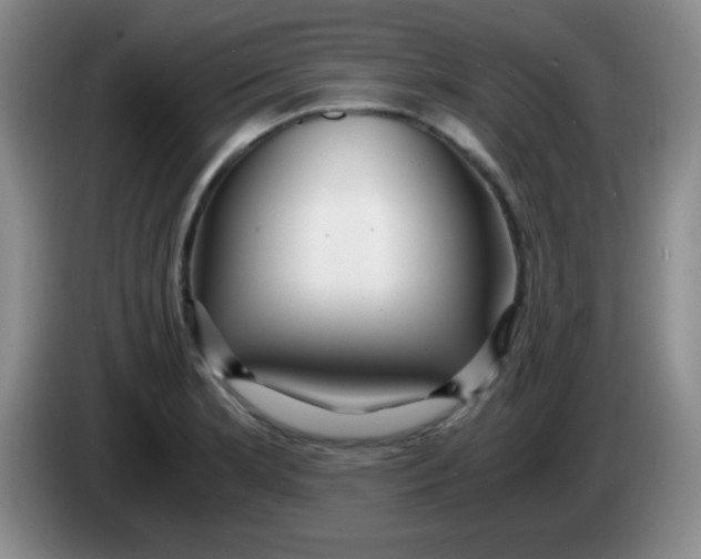 X0000083981181200703091817