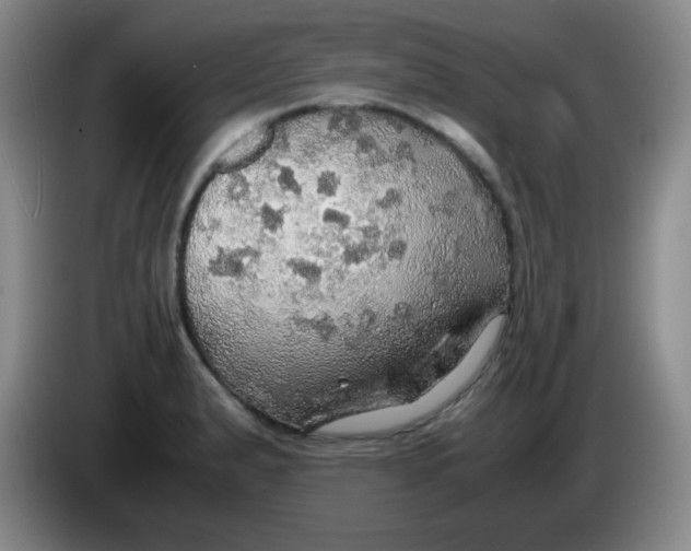 X0000083981183200703091817