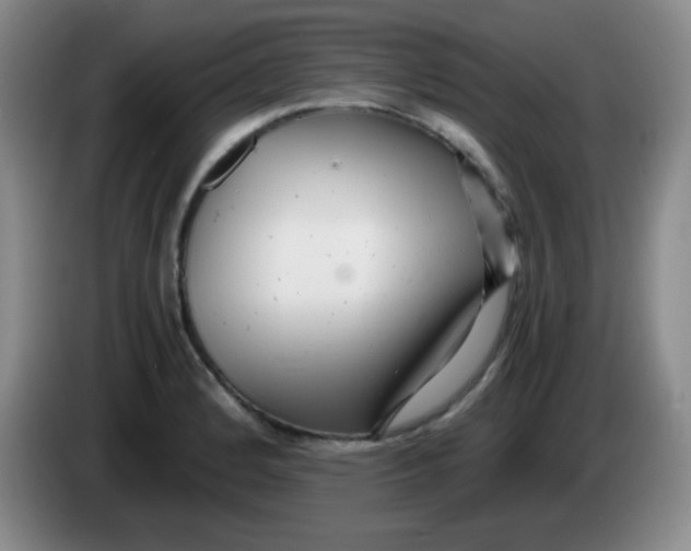 X0000083981184200703091817