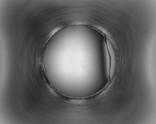 X0000083981185200703091817