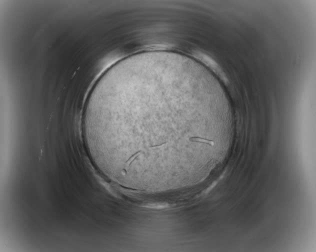 X0000083981186200703091817