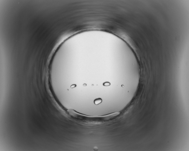 X0000083981187200703091817