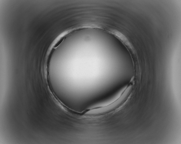 X0000083981188200703091817