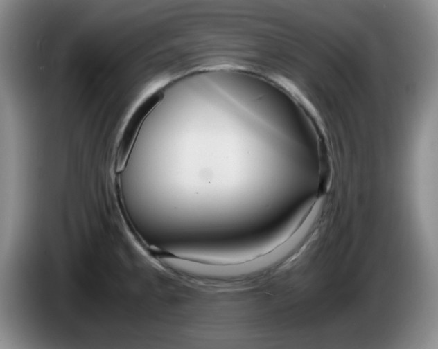 X0000083981189200703091817