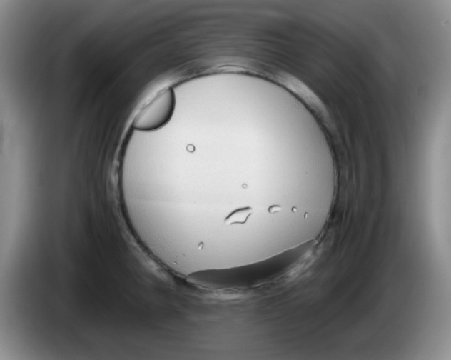 X0000083981190200703091817