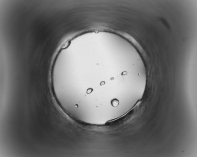 X0000083981191200703091817