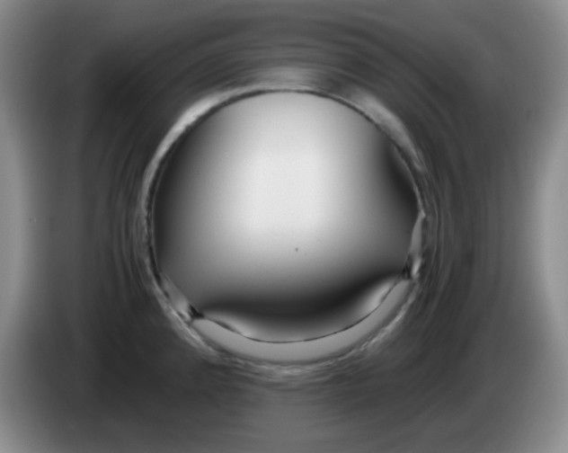 X0000083981192200703091817