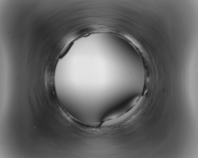 X0000083981193200703091817