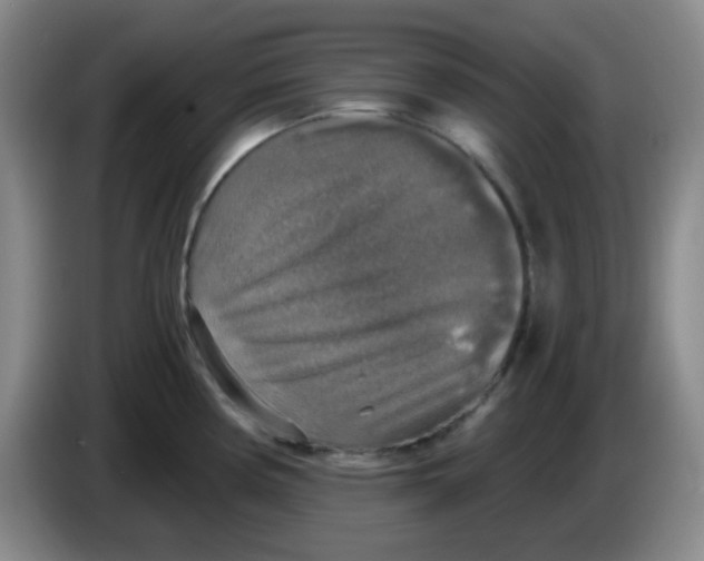 X0000083981194200703091817