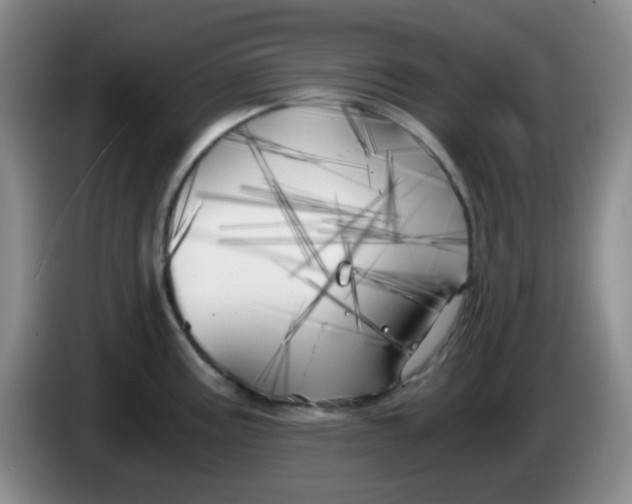 X0000083981195200703091817