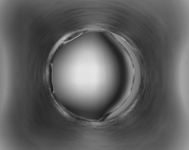 X0000083981196200703091817