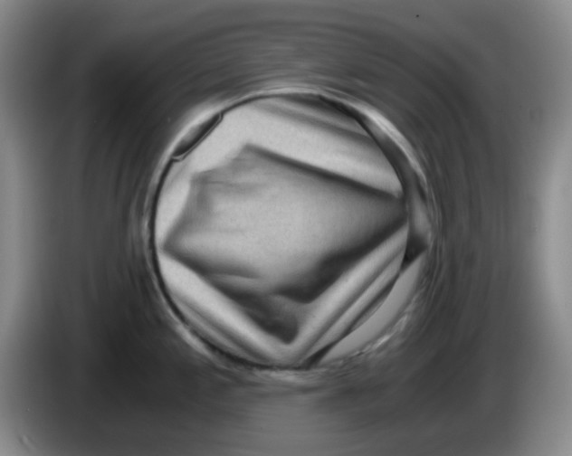 X0000083981197200703091817