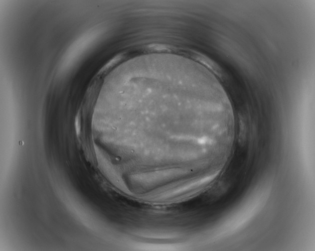 X0000083981198200703091817