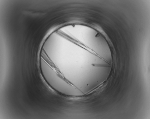 X0000083981199200703091817