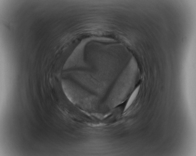 X0000083981202200703091816