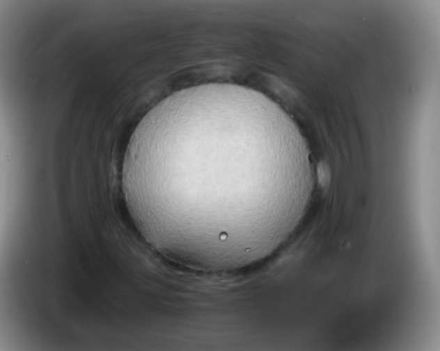 X0000083981203200703091816