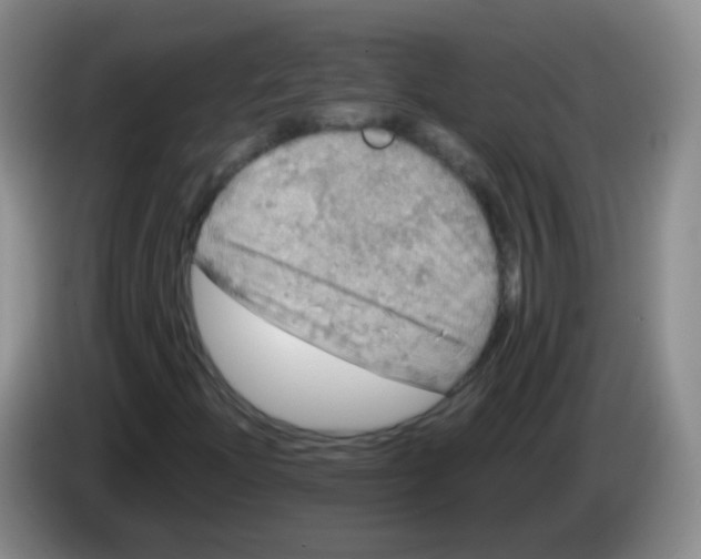 X0000083981204200703091816