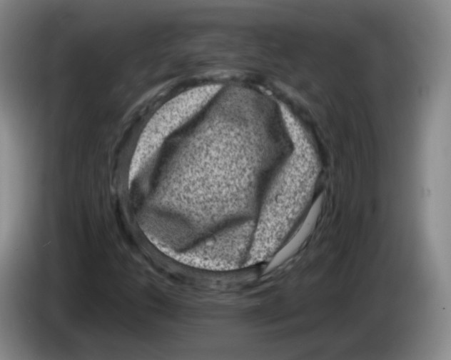 X0000083981206200703091816