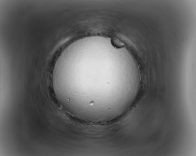 X0000083981207200703091816