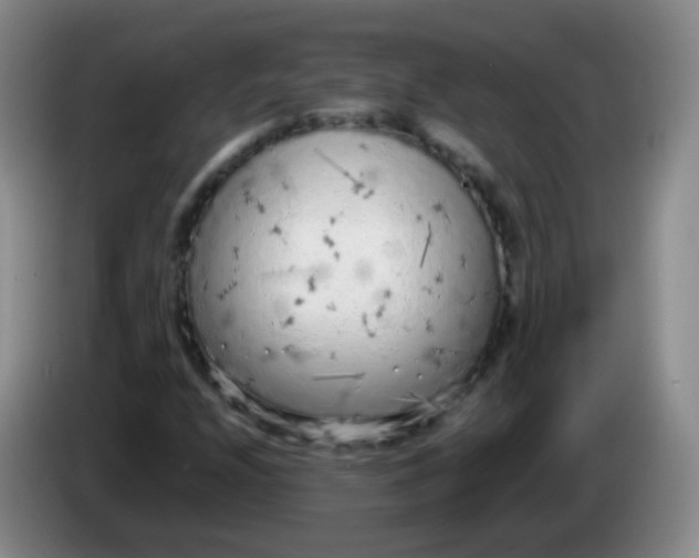 X0000083981208200703091816