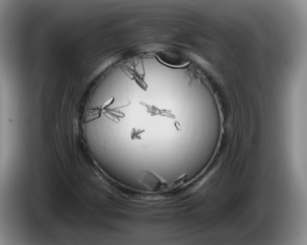 X0000083981209200703091816