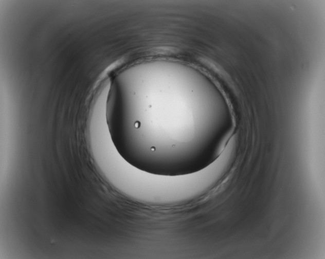 X0000083981210200703091816