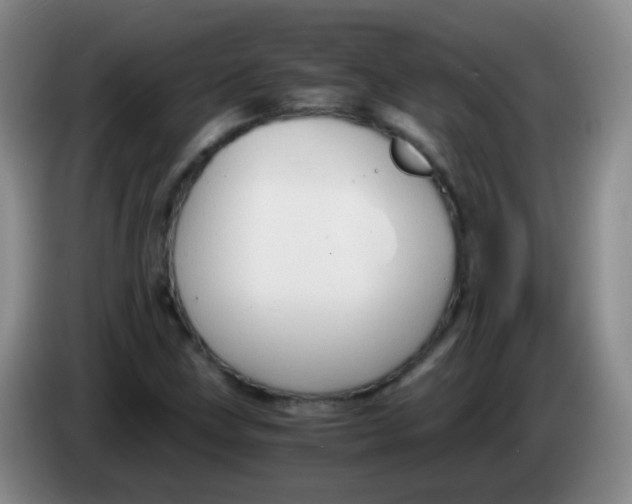 X0000083981211200703091816