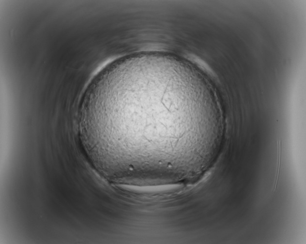 X0000083981212200703091817