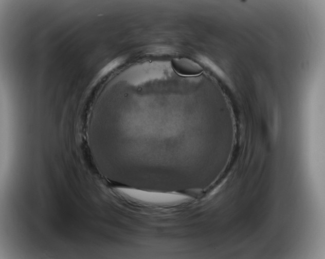 X0000083981213200703091817