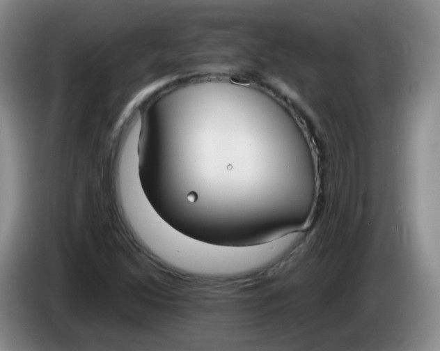 X0000083981214200703091817