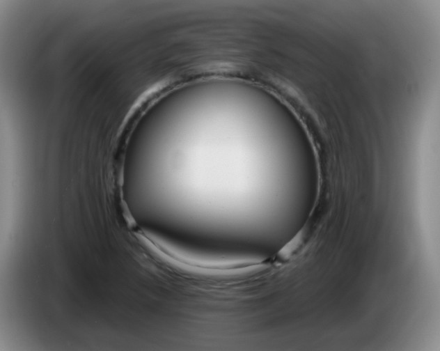 X0000083981218200703091817