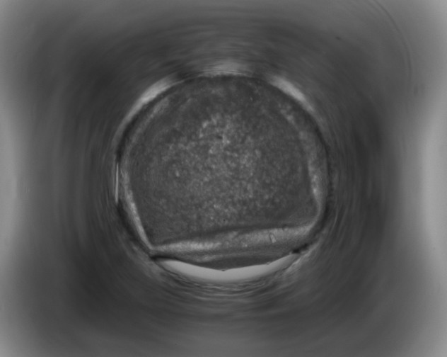 X0000083981219200703091817