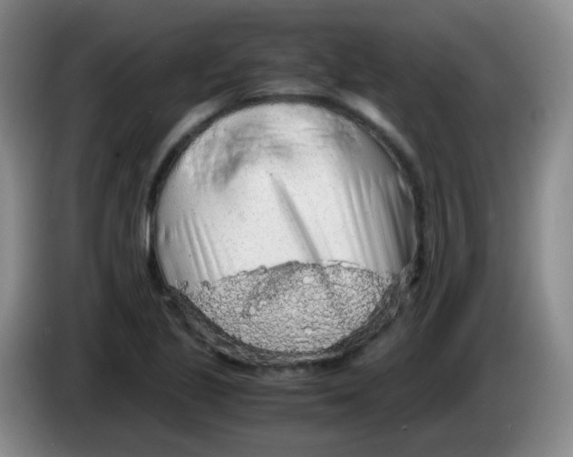 X0000083981221200703091817