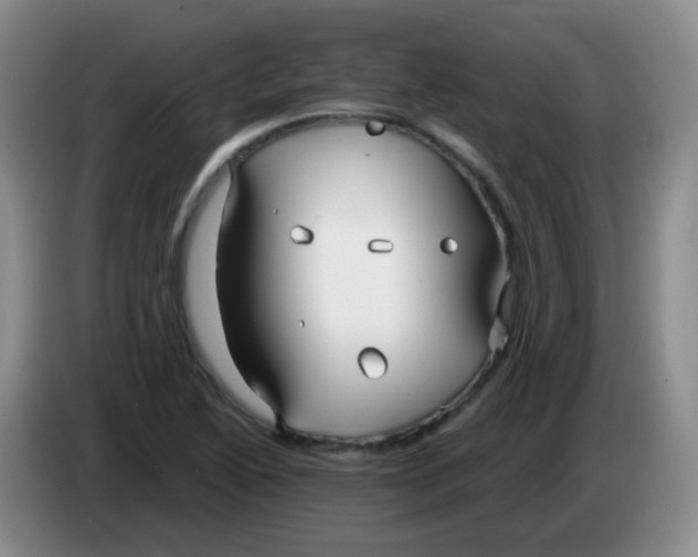 X0000083981222200703091817