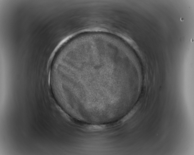 X0000083981224200703091817